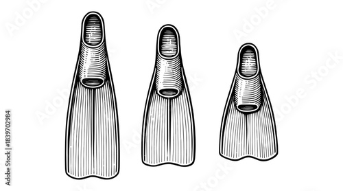 Engraved illustration of three different sized swim fins on white background
