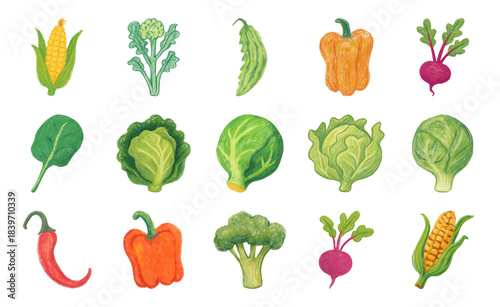 Colorful watercolor vegetables illustration