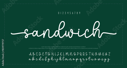 Script Elegant Signature Typeface. Lettering signature font isolated on background. brush style alphabet. Vector logo letters.  