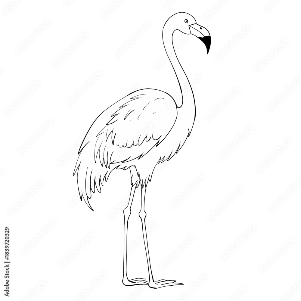 Fototapeta premium illustration of a flamingo