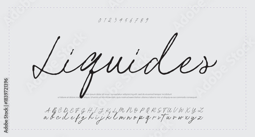Best Alphabet Signatures Handsaw Brush Script Logotype Font lettering handwritten