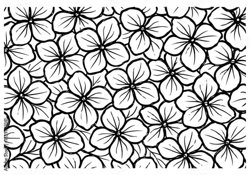 hydrangea hand drawn simple sketch vector illustration