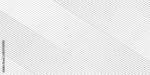 Vector gradient gray line abstract pattern Transparent monochrome striped texture, minimal background. Abstract background wave line elegant white striped diagonal line technology concept web texture.