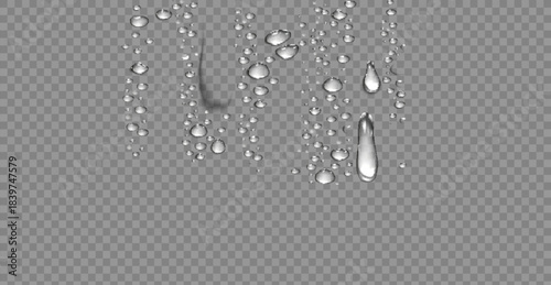 Water rain drops or steam shower isolated on transparent background. Realistic pure droplets condensed. Vector clear vapor water bubbles on window glass surface for your design