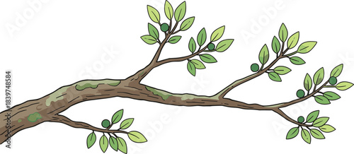 Detailed Cartoon Branch with Green Leaves and Berries Illustration