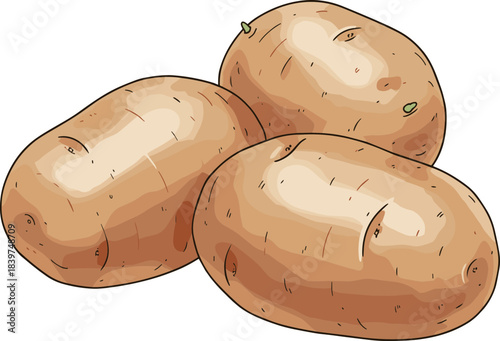Simple Cartoon Style Three Raw Potatoes Isolated on White Background