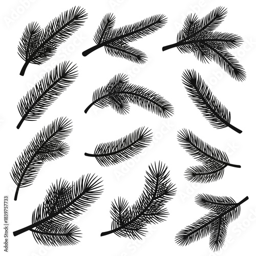 Collection of Black and White Pine Branch Silhouettes for Nature Design or Decoration