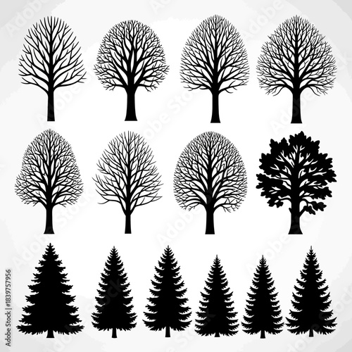 Set of black and white silhouette tree illustrations showing different tree shapes and types for