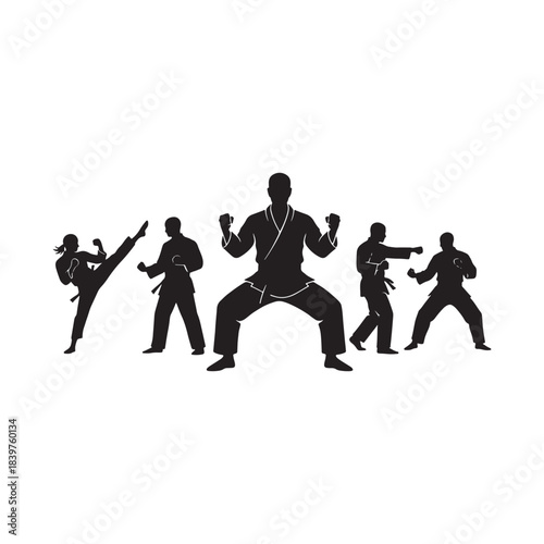 Black silhouettes of karate fighters in various martial arts poses vector illustration.