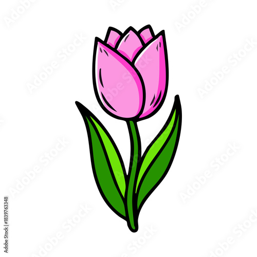 Vibrant pink tulip flower with green leaves illustration.