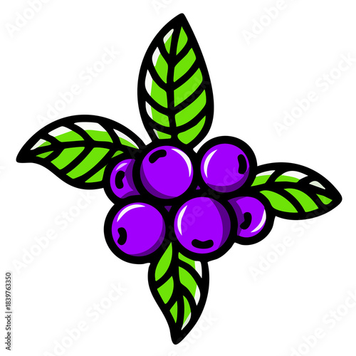 Vibrant illustration of a cluster of purple berries with green leaves.