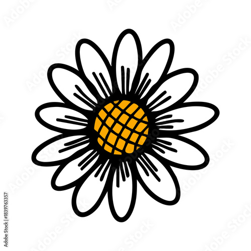 Simple Hand Drawn Daisy Flower Illustration with Bold Outline.