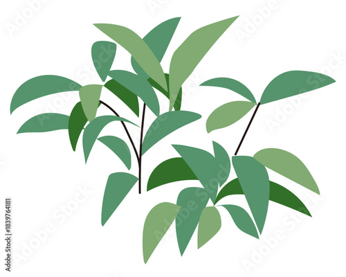 Commercial facility planting design | Vector illustrations of stylish exteriors, shrubs, and symbol trees