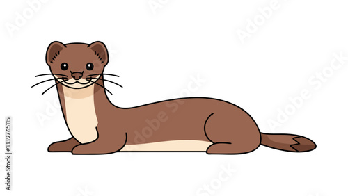 Illustration of a Brown Weasel with White Chest Lying Down Facing Forward Against a Black Background