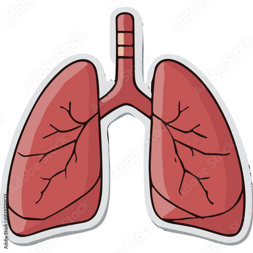 Detailed Illustration of Human Lungs and Trachea Anatomical Medical Representation in Pink and Red Tones with Clean White Outline on Black Background symbolizing Respiration and Health Care