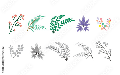Set of floral leaves icon with isolated background