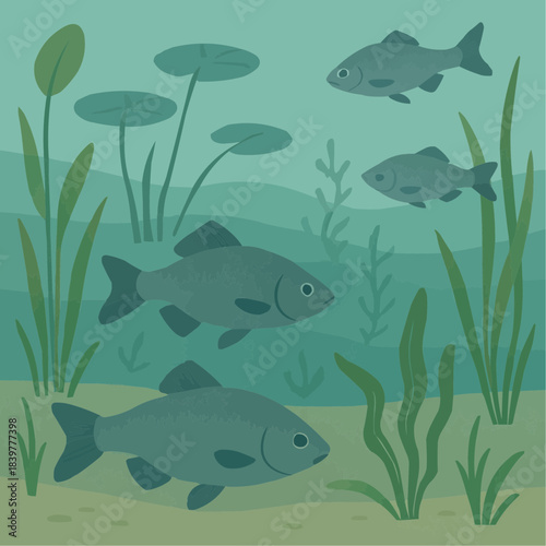 Wetland Fish Flat Vector Illustration