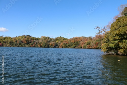 伊豆 一碧湖の秋。大池。
