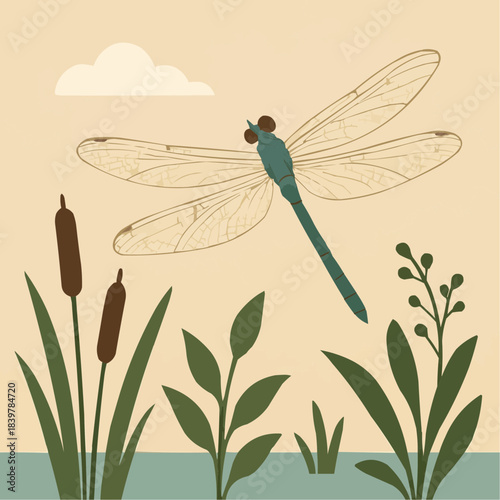 Wetland Dragonfly Flat Vector Illustration