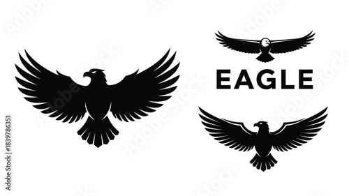 A striking graphic featuring three silhouettes of eagles in flight