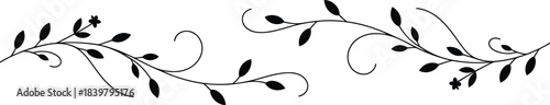 Black floral vine decorative elements on white vector