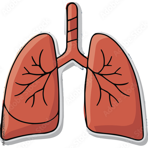 Illustration of Human Lungs Anatomical Representation with Bronchial Tree and Trachea Detailed Red Organs Clear Outline on Black Background Scientific Medical Health Concept