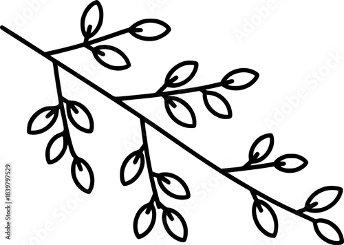 Black and White Outline of a Willow Tree Branch with Small Oval Leaves nature spring
