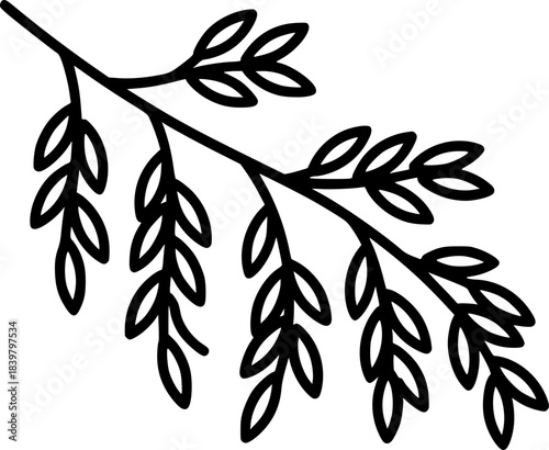 Black and White Outline of a Willow Tree Branch with Small Oval Leaves nature spring
