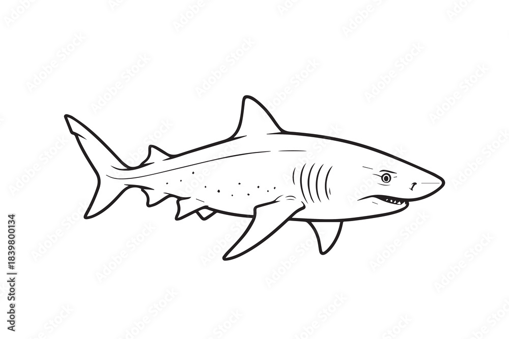 Obraz premium A simple vector illustration of a sand shark swimming calmly through clear water, its smooth body and gentle curves drawn in a clean minimalist style that highlights its natural form.
