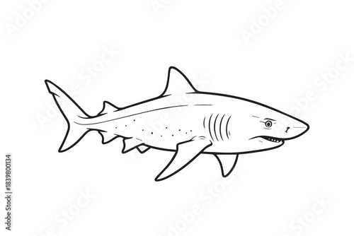 A simple vector illustration of a sand shark swimming calmly through clear water, its smooth body and gentle curves drawn in a clean minimalist style that highlights its natural form.