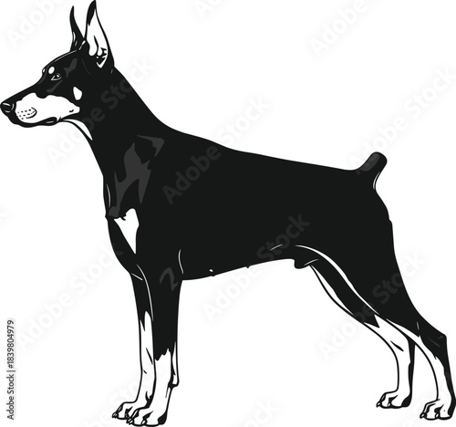 Black guard dog standing in alert posture, strong domestic pet silhouette illustration, protective canine figure, loyal security dog breed drawing, vector artwork.