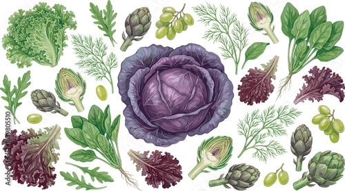 Hand-drawn vegetable mix illustration, purple cabbage, artichoke, and salad greens, fresh raw organic produce, healthy food collection with lettuce, spinach, dill, and grapes vector art.