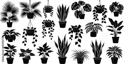 Indoor house plants silhouette collection, potted decorative houseplants, botanical tropical foliage nature elements for interior design vector illustration, black and white.