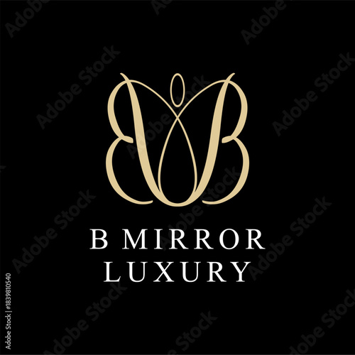 B mirror buterfly logo vector image