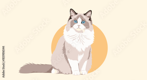 A beautiful Ragdoll cat with striking blue eyes and fluffy fur sits calmly in a minimalist illustration.