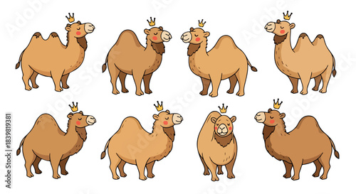 Cartoon camels with crowns in various poses
