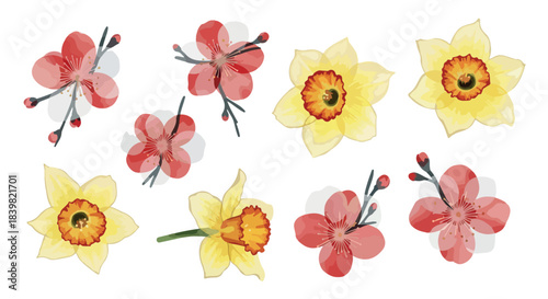 Spring flowers collection with transparent background