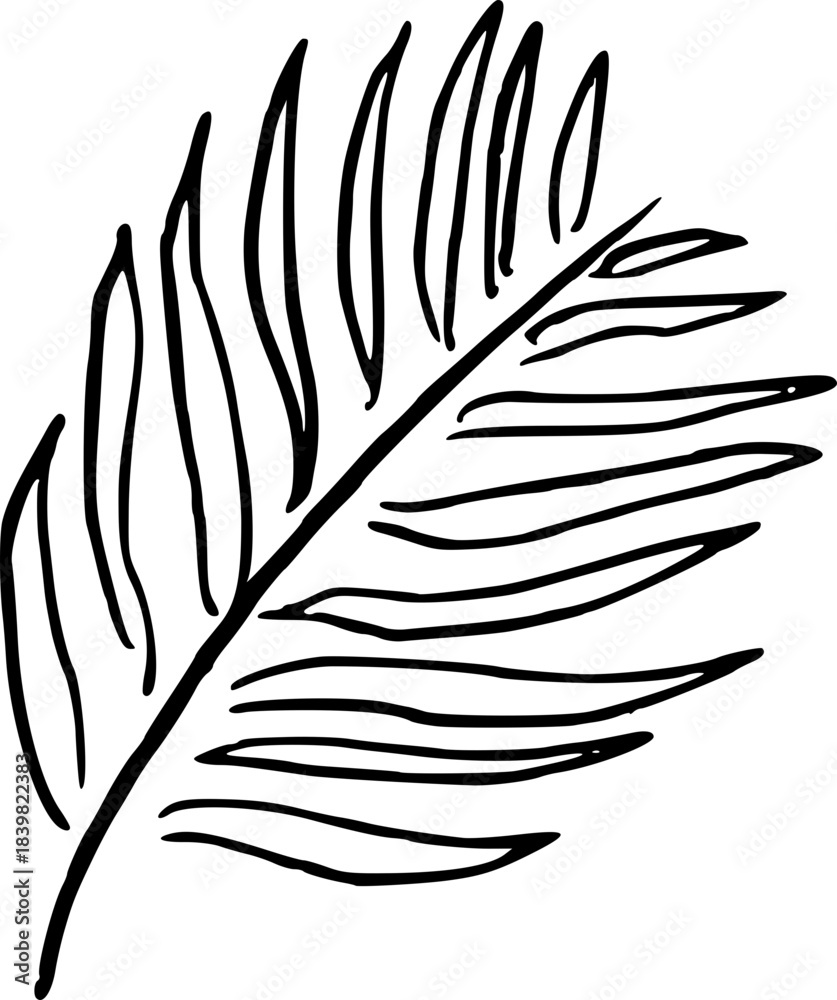 Obraz premium Leaf Hand Drawn Illustratrion