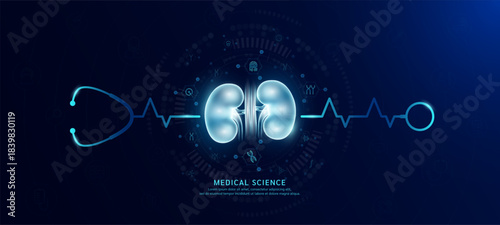 Organ kidner hologram in transparent with stethoscope. Genetic icons are around. Medical science banner dark blue. Health care concept. Vector EPS10.