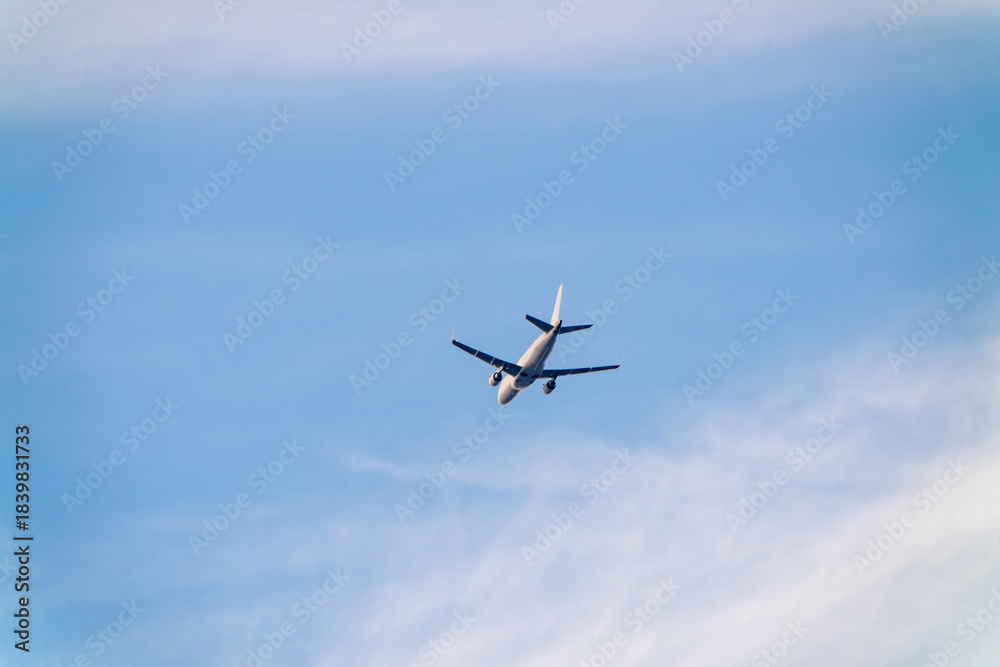 Fototapeta premium 大空を飛ぶ旅客機
