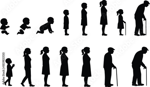 Human life stages silhouette evolution from baby to elderly person concept, growth development process, cad drawing flat vector illustration
