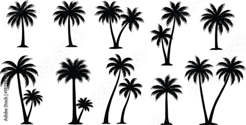Palm tree silhouette collection, tropical beach plant vector, exotic nature illustration, summer holiday design, coconut tree graphic, paradise island artwork