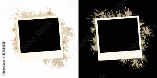 A contrasting pair of instant photos with dandelion seed embellishments