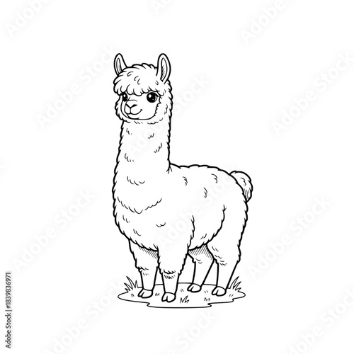 Cute alpaca standing farm animal illustration