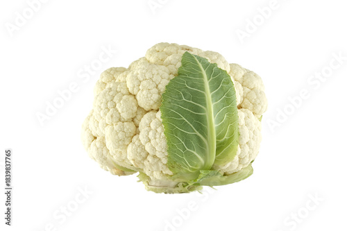Fresh cauliflower head with a green leaf against a white background.
