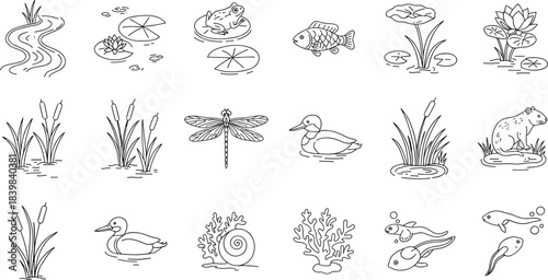 Pond ecosystem with frog, fish, duck, plants, dragonfly, tadpole, and aquatic life line art, cad drawing flat vector illustration