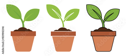 Plant Growth Stages Vector – Seed, Sprout, Seedling, Flower Development Infographic.