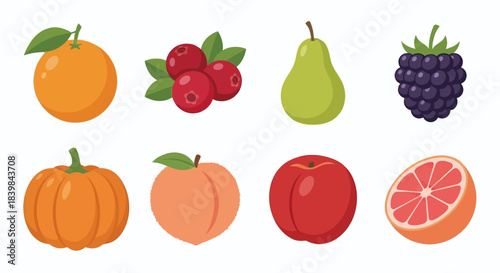 Colorful Fruit Set Vector Illustration -  apple, pear, mango, berry, blueberry, raspberry, cherry, dragonfruit