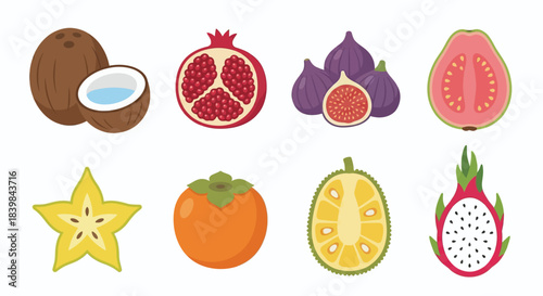 Colorful Fruit Set Vector Illustration -  apple, pear, mango, berry, blueberry, raspberry, cherry, dragonfruit