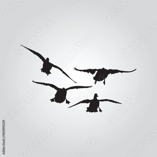 mallard flying Duck Hunting vector design silhouette modern logo Decal 